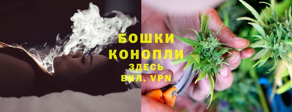 прущие грибы Богородск