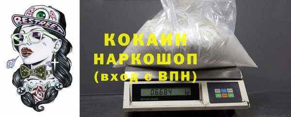 прущие грибы Богородск