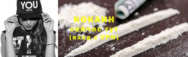 прущие грибы Богородск