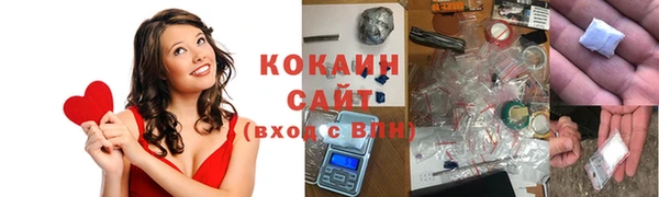 прущие грибы Богородск