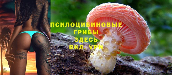 прущие грибы Богородск