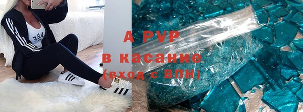 прущие грибы Богородск