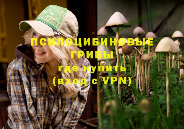 прущие грибы Богородск
