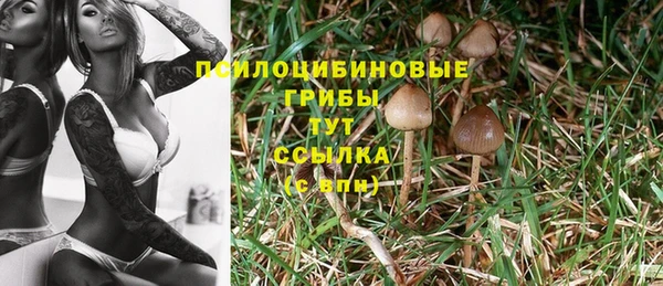 меф Богданович